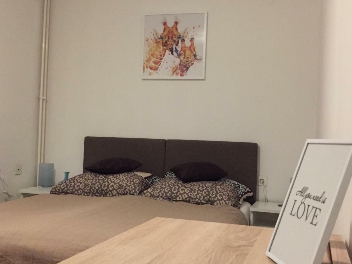 Apartment Karlovac Esterno foto